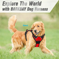 No-Pull Reflective Dog Harness with Front Clip