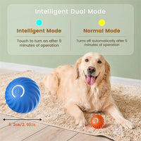 USB Rechargeable Bouncing Ball for Puppies & Cats