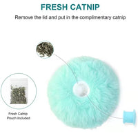 Smart Interactive Catnip Ball