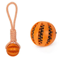 Interactive Dog Food Dispensing Ball with Rope