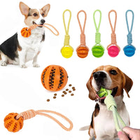 Interactive Dog Food Dispensing Ball with Rope