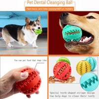 Chew Toy & Treat Feeder for Teeth Cleaning