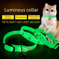 Glowing Silicone Anti-Loss Collar for Small Dogs & Cats