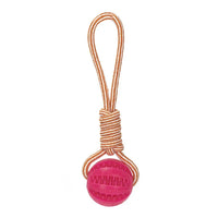 Interactive Dog Food Dispensing Ball with Rope