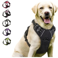 No-Pull Reflective Dog Harness with Front Clip