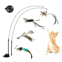 Interactive Cat Toy with Simulated Bird