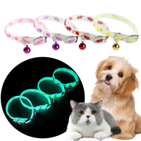 Glowing Silicone Anti-Loss Collar for Small Dogs & Cats