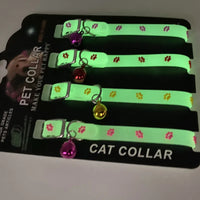 Glowing Silicone Anti-Loss Collar for Small Dogs & Cats