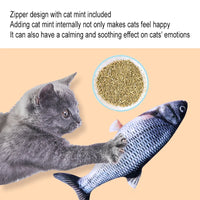 Interactive Plush Fish Cat Toy