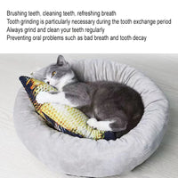 Interactive Plush Fish Cat Toy