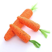 Carrot-Shaped Cat Chew Toy