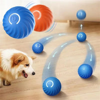 USB Rechargeable Bouncing Ball for Puppies & Cats