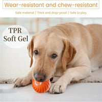 USB Rechargeable Bouncing Ball for Puppies & Cats