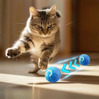 USB Rechargeable Bouncing Ball for Puppies & Cats