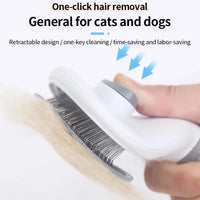 Pet Hair Brush