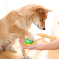 Interactive Training Bell for Dogs & Cats