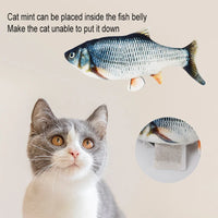 Interactive Plush Fish Cat Toy