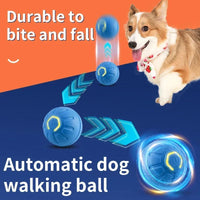 USB Rechargeable Bouncing Ball for Puppies & Cats