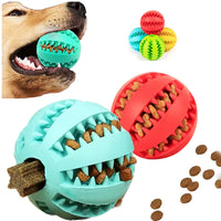 Chew Toy & Treat Feeder for Teeth Cleaning