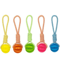 Interactive Dog Food Dispensing Ball with Rope