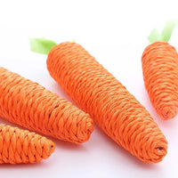 Carrot-Shaped Cat Chew Toy