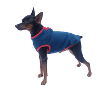 Warm Autumn Winter Coat for Small to Medium Dogs